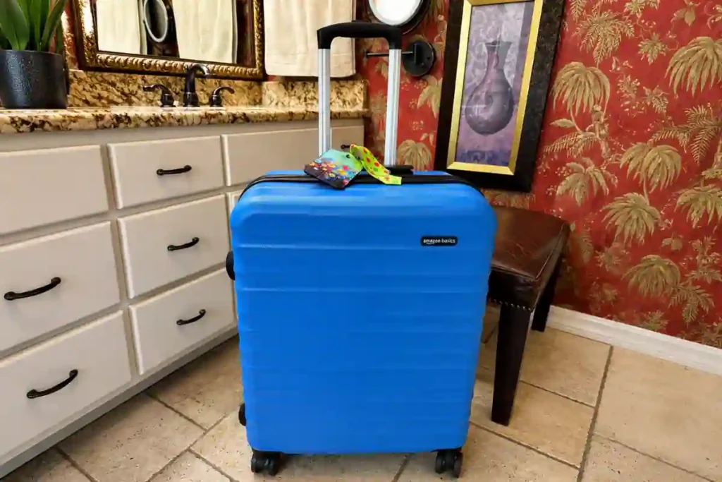 7 Best Checked Luggage of 2026: Tested & Rated 1 Amazon Basics Hard Side Checked Luggage – Best Budget Checked Luggage Under 120$